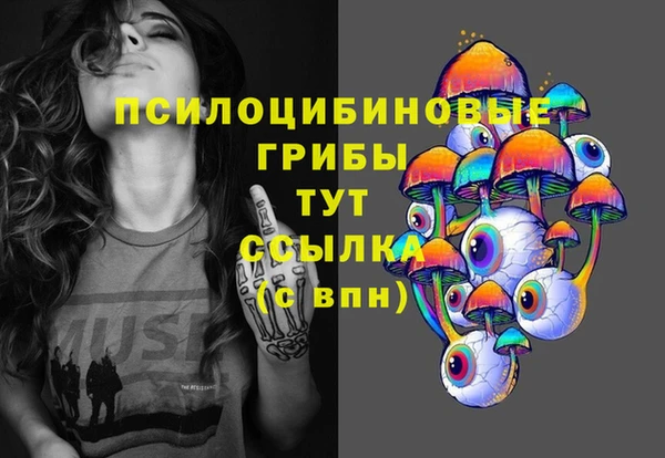 spice Новозыбков