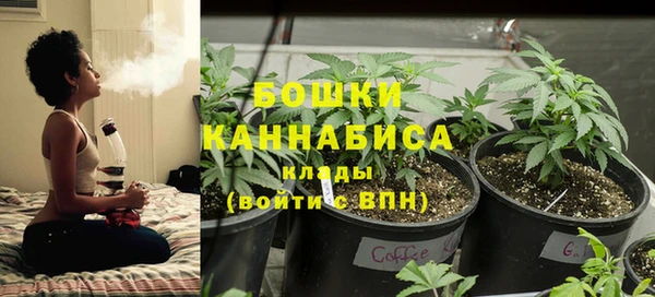 spice Новозыбков