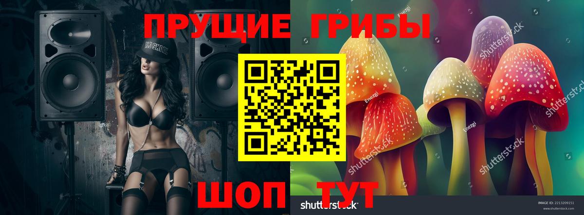 Псилоцибиновые грибы ЛСД  Вход с VPN  Железногорск 