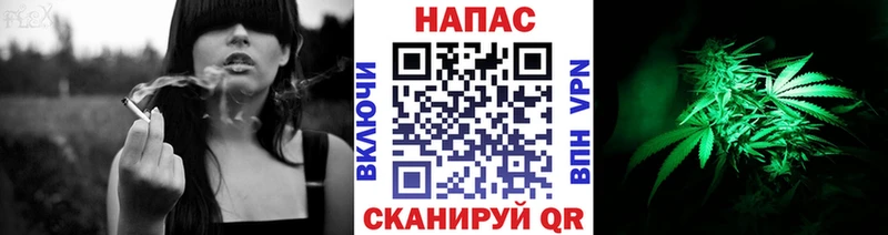 Бошки марихуана конопля  где купить наркоту  KRAKEN зеркало  Железногорск 